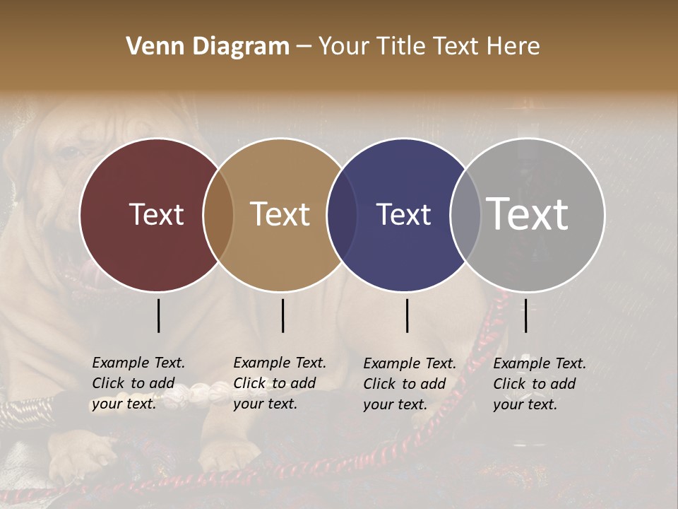 Expression Hookah Funny PowerPoint Template