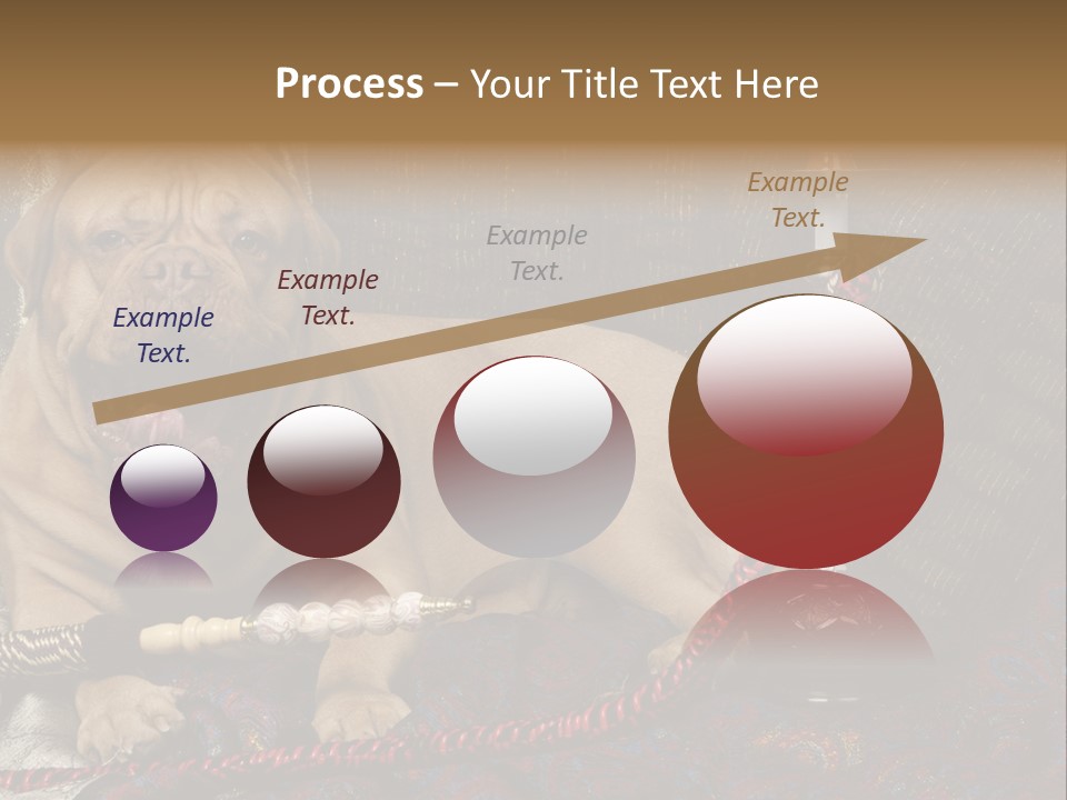 Expression Hookah Funny PowerPoint Template