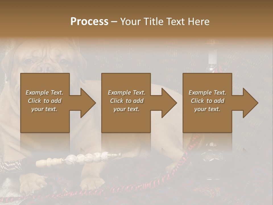 Expression Hookah Funny PowerPoint Template