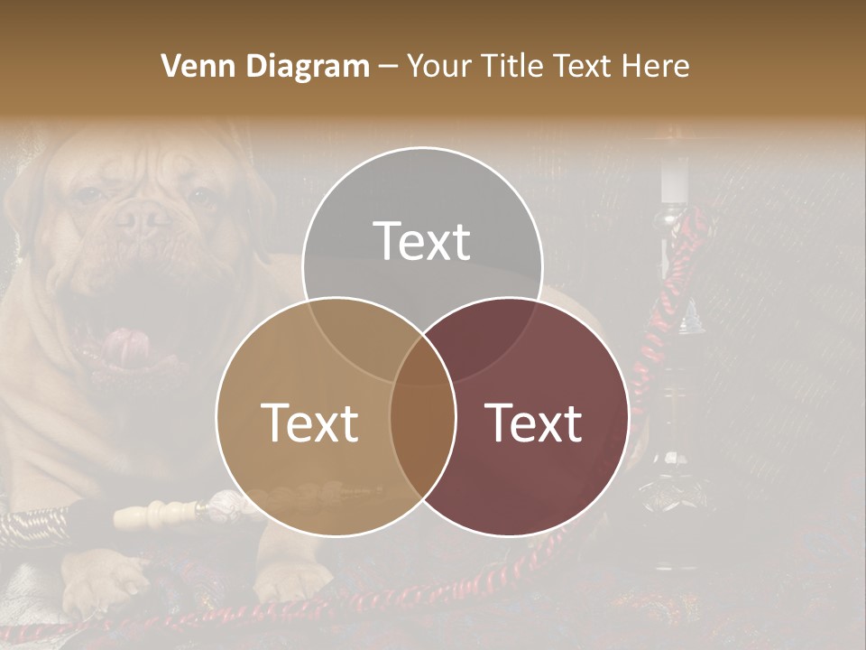 Expression Hookah Funny PowerPoint Template