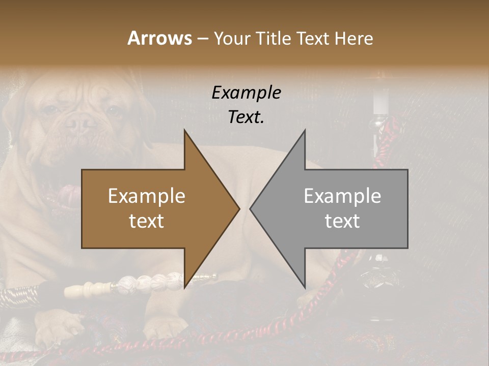 Expression Hookah Funny PowerPoint Template