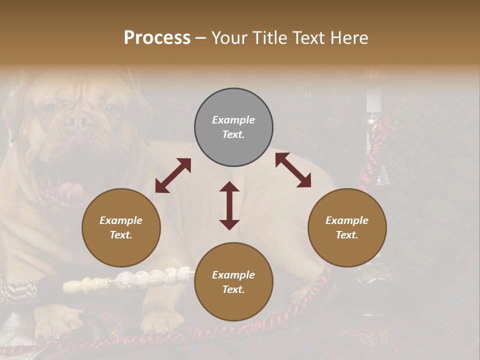 Expression Hookah Funny PowerPoint Template
