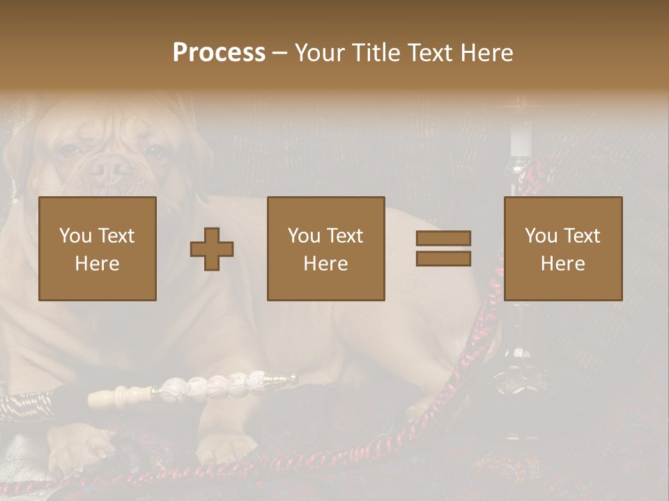 Expression Hookah Funny PowerPoint Template