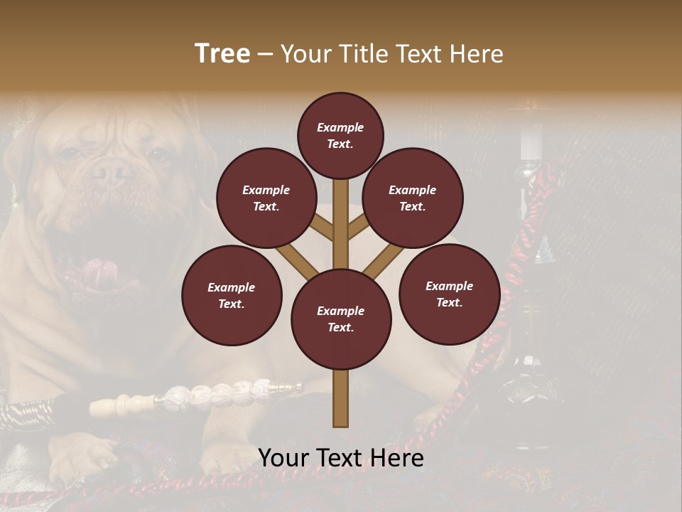 Expression Hookah Funny PowerPoint Template