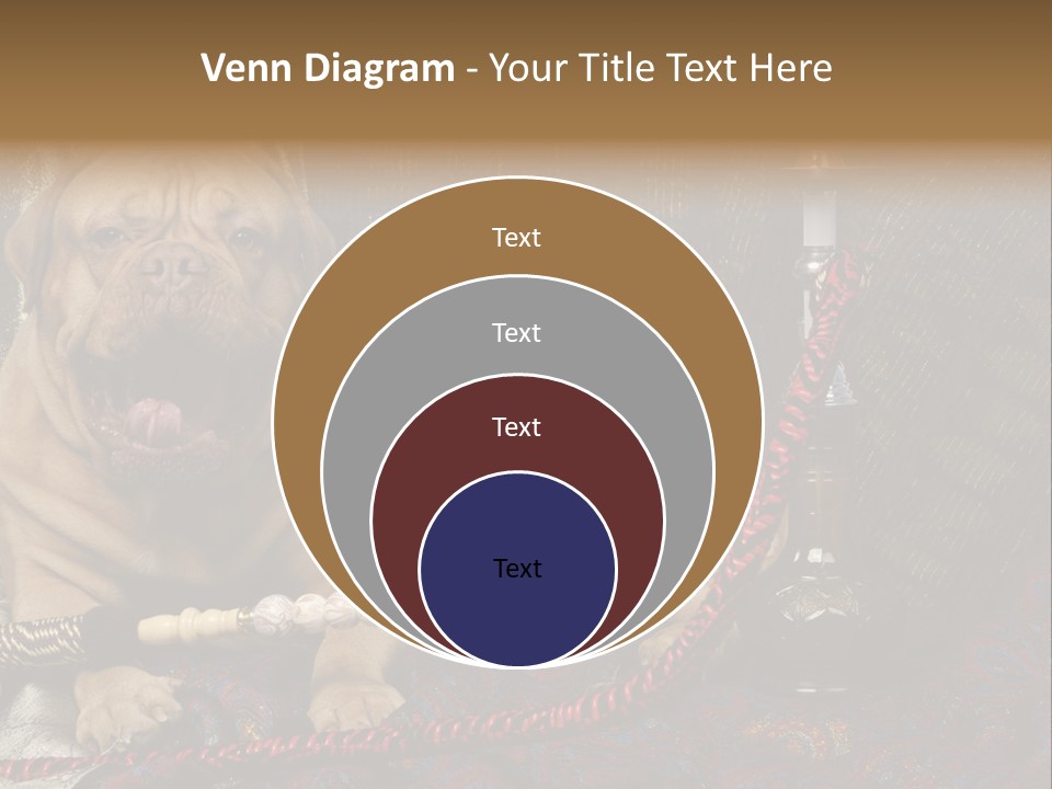 Expression Hookah Funny PowerPoint Template
