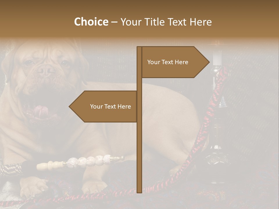 Expression Hookah Funny PowerPoint Template