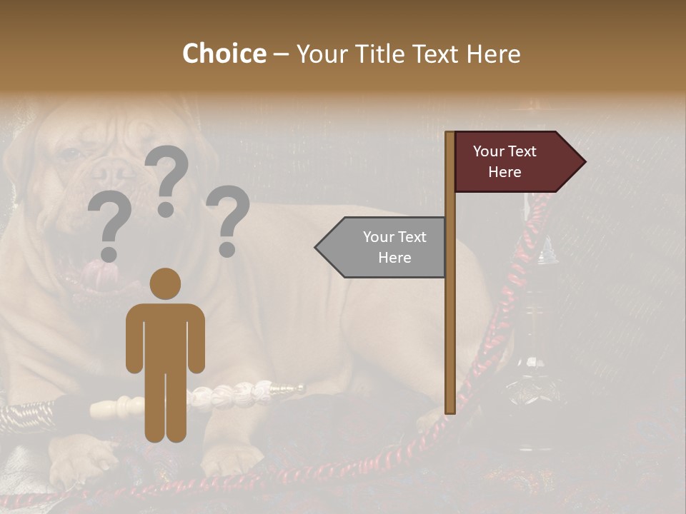 Expression Hookah Funny PowerPoint Template