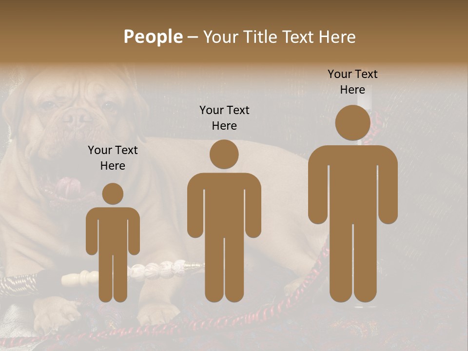 Expression Hookah Funny PowerPoint Template