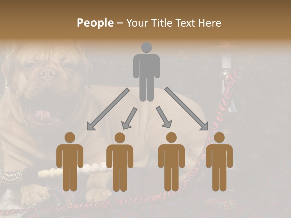 Expression Hookah Funny PowerPoint Template