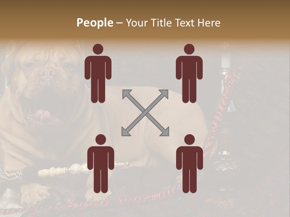 Expression Hookah Funny PowerPoint Template