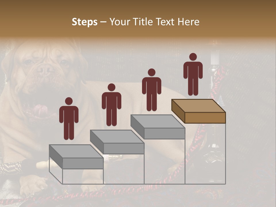 Expression Hookah Funny PowerPoint Template