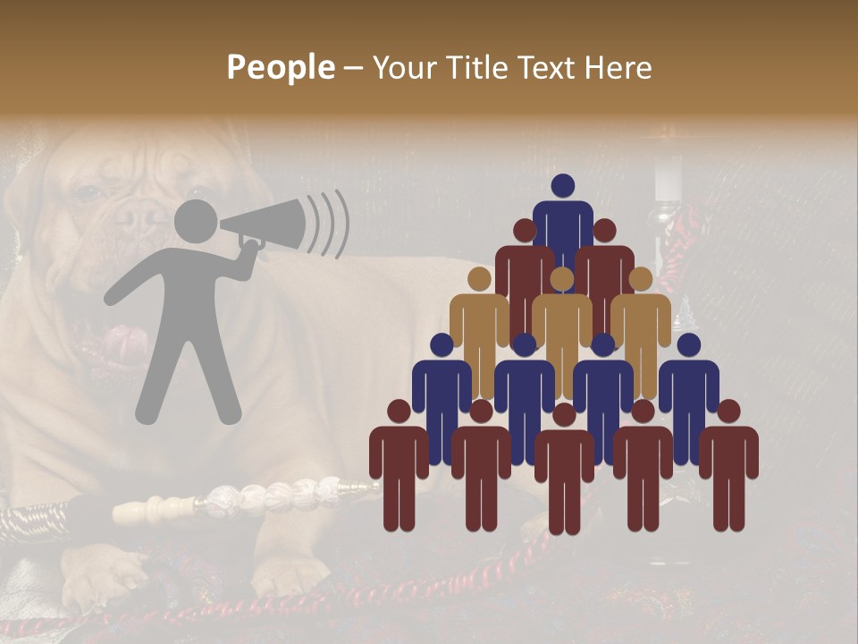 Expression Hookah Funny PowerPoint Template