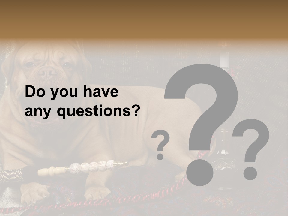 Expression Hookah Funny PowerPoint Template