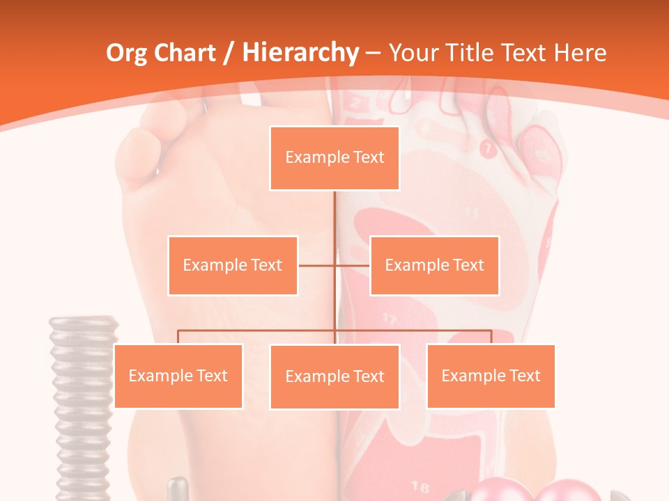 Health Natural Foot PowerPoint Template