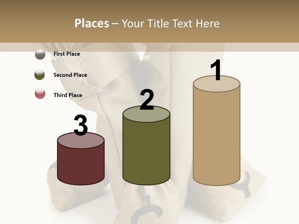 Payday Dollar Moneybag PowerPoint Template