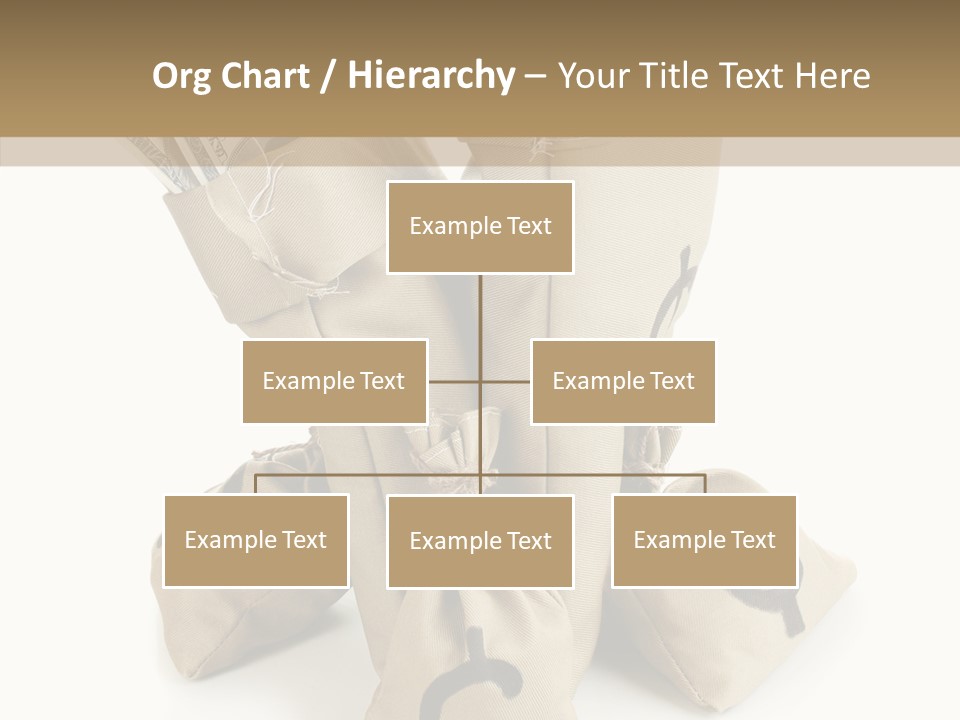 Payday Dollar Moneybag PowerPoint Template