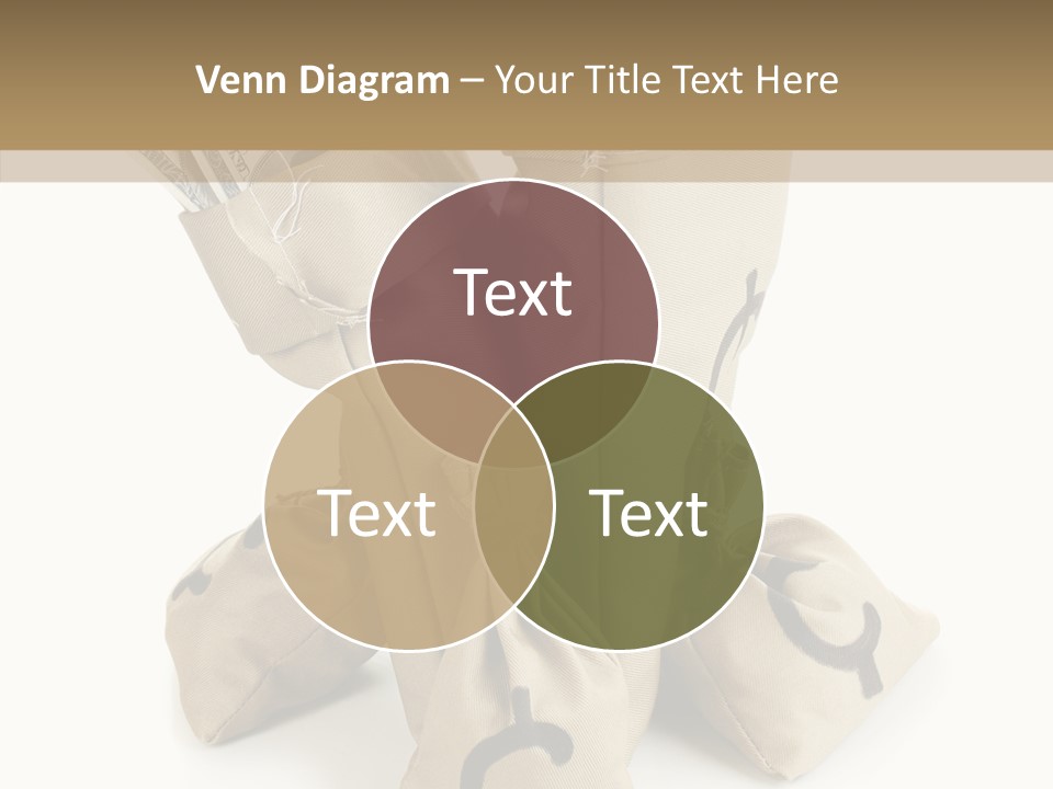 Payday Dollar Moneybag PowerPoint Template