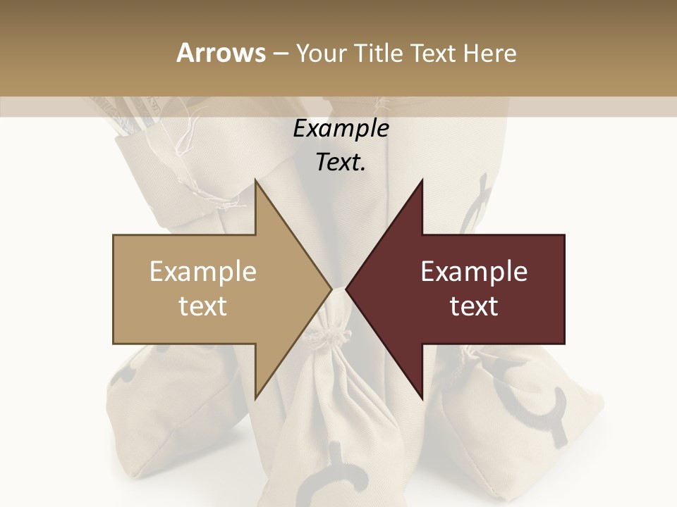 Payday Dollar Moneybag PowerPoint Template