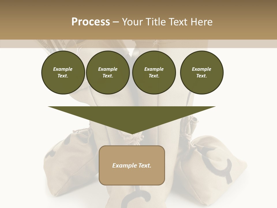 Payday Dollar Moneybag PowerPoint Template