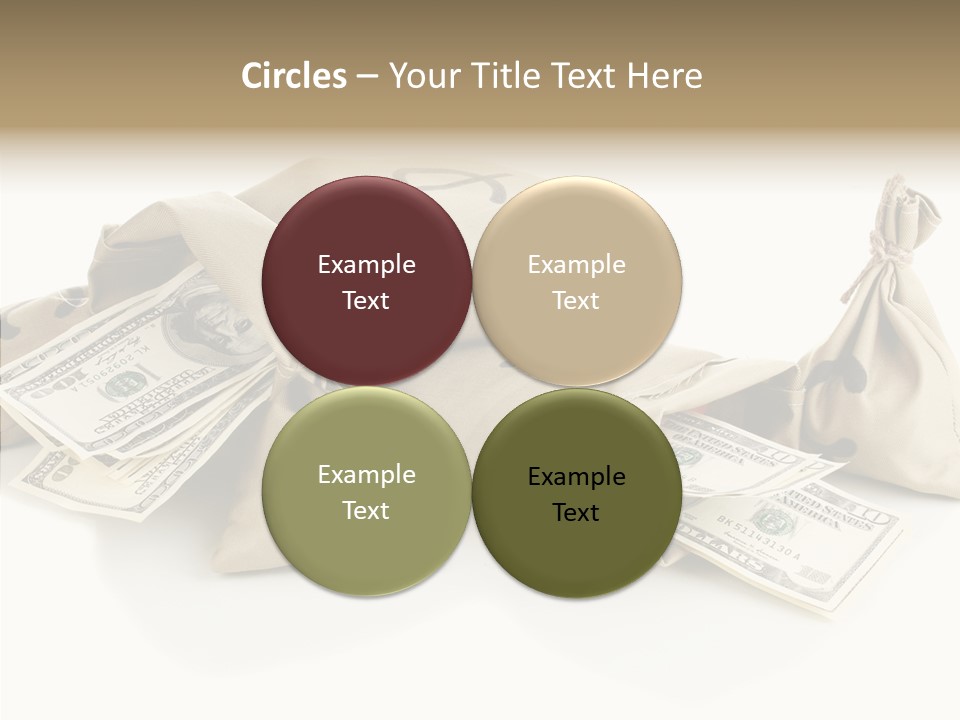 Isolated Rich Finance PowerPoint Template