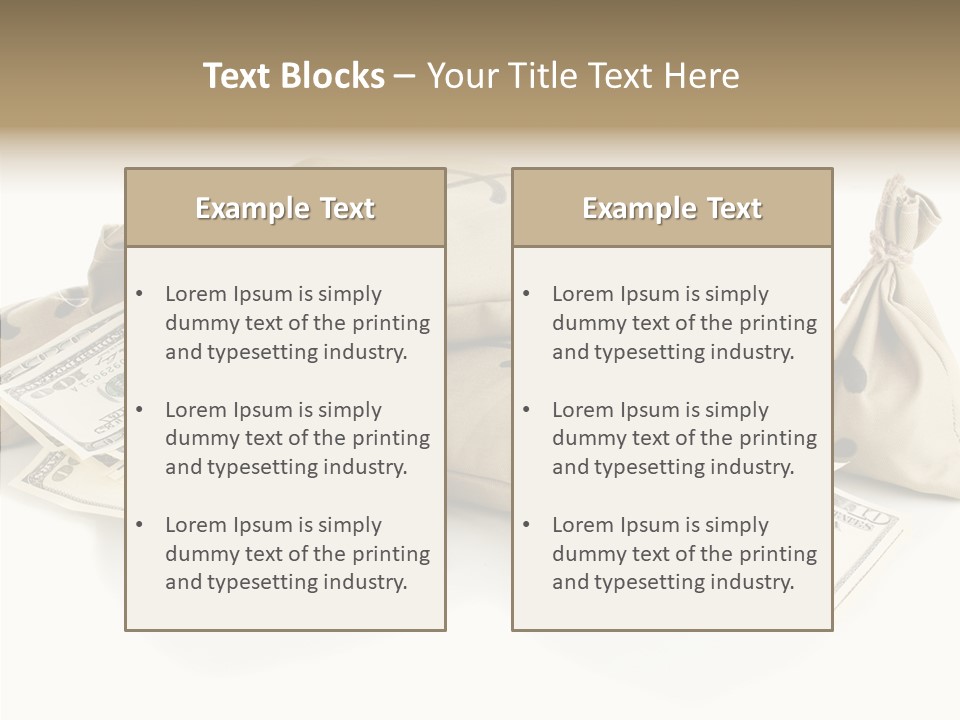Isolated Rich Finance PowerPoint Template