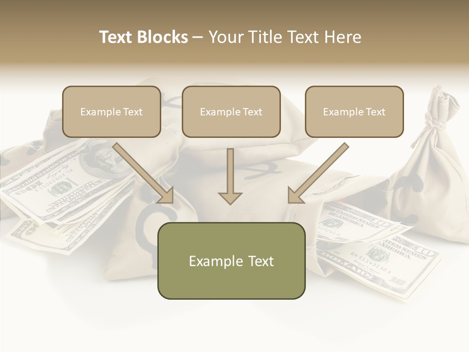 Isolated Rich Finance PowerPoint Template