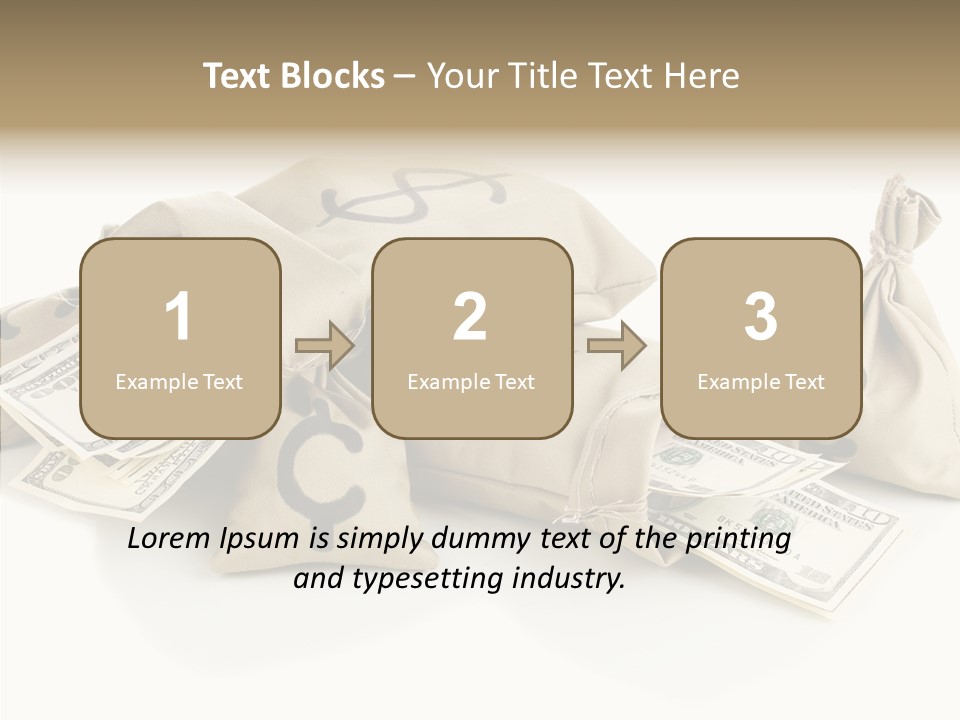 Isolated Rich Finance PowerPoint Template
