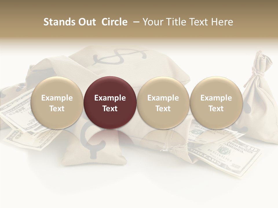 Isolated Rich Finance PowerPoint Template