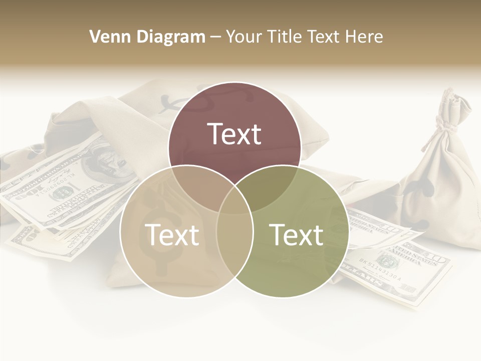 Isolated Rich Finance PowerPoint Template