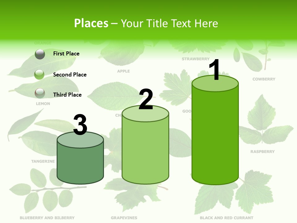 Raspberry Currant Redcurrant PowerPoint Template