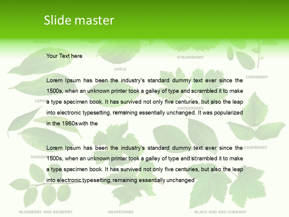 Raspberry Currant Redcurrant PowerPoint Template