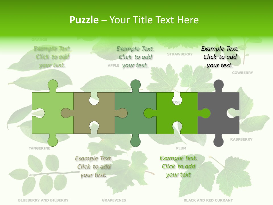 Raspberry Currant Redcurrant PowerPoint Template