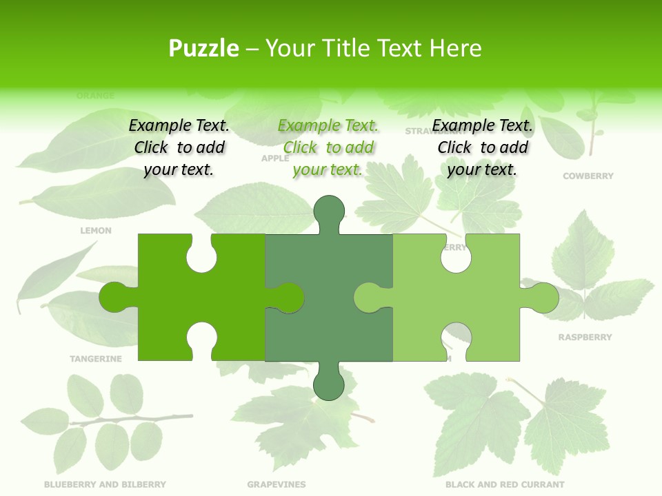 Raspberry Currant Redcurrant PowerPoint Template