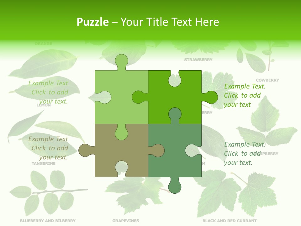 Raspberry Currant Redcurrant PowerPoint Template