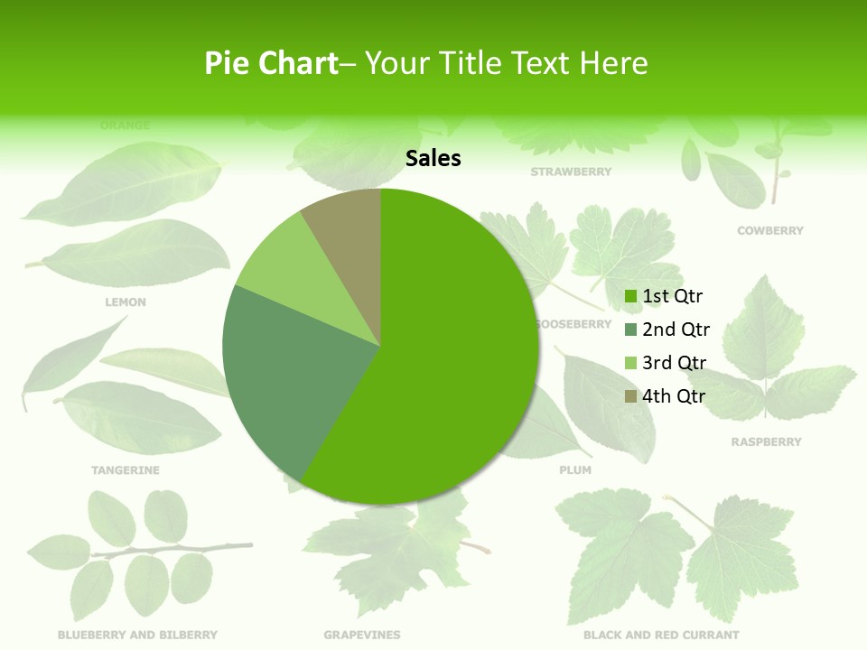 Raspberry Currant Redcurrant PowerPoint Template