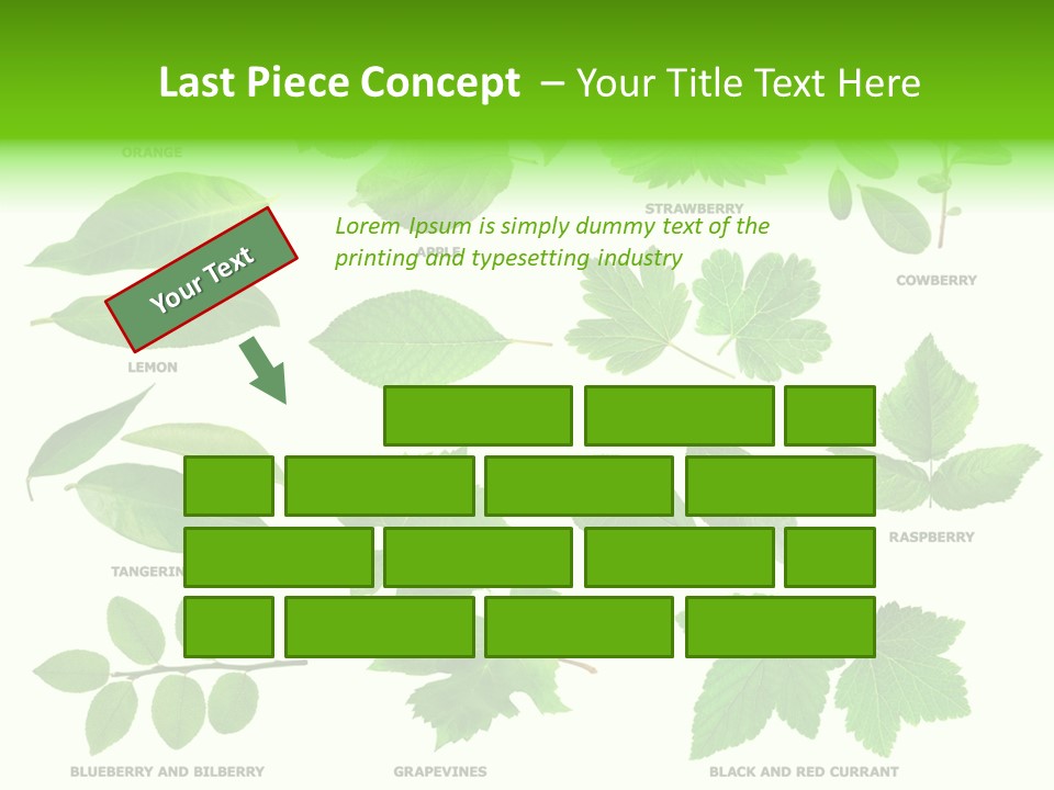 Raspberry Currant Redcurrant PowerPoint Template