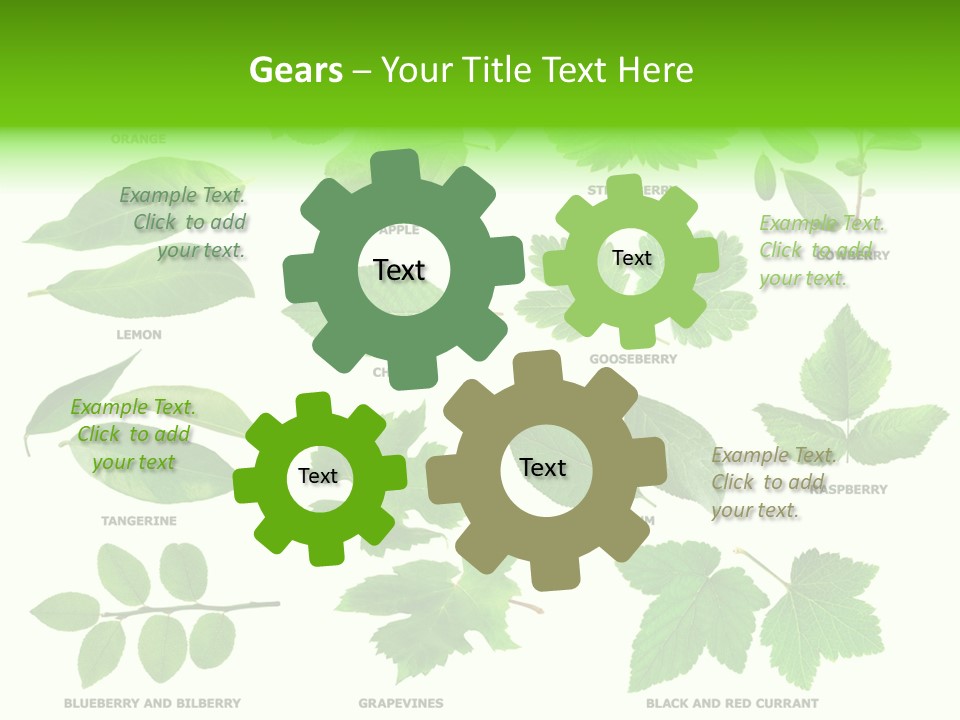 Raspberry Currant Redcurrant PowerPoint Template