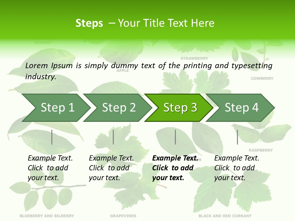 Raspberry Currant Redcurrant PowerPoint Template