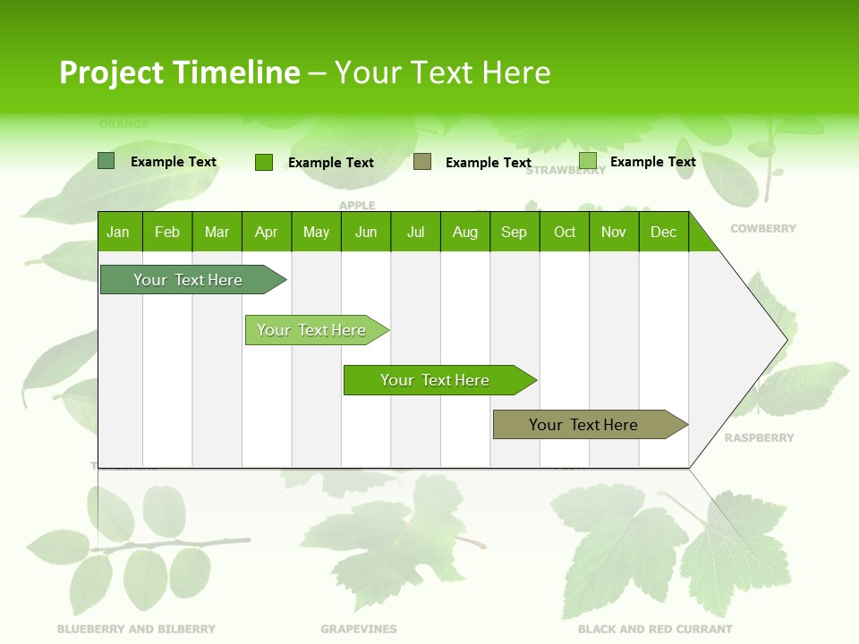 Raspberry Currant Redcurrant PowerPoint Template