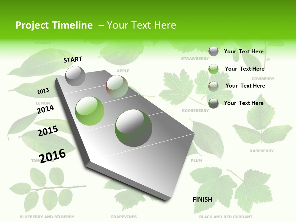 Raspberry Currant Redcurrant PowerPoint Template