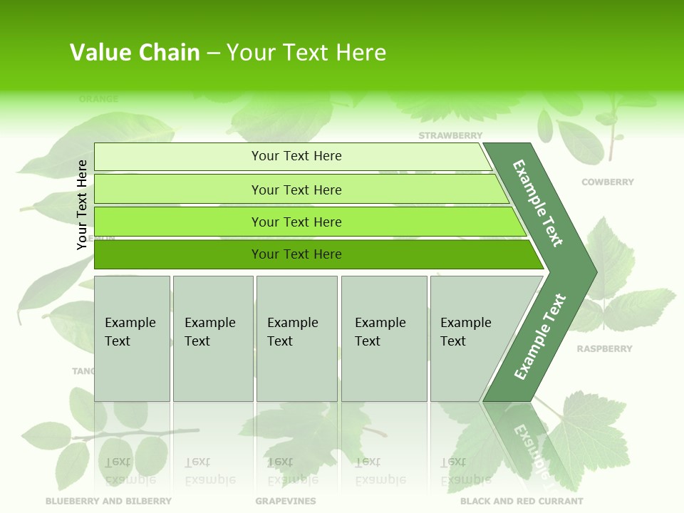 Raspberry Currant Redcurrant PowerPoint Template