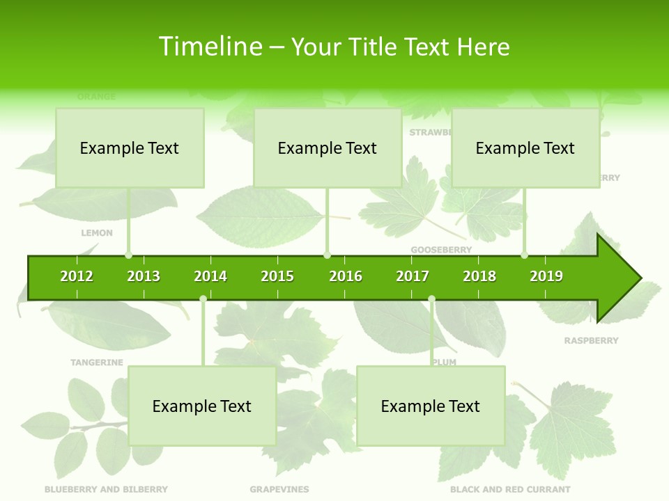 Raspberry Currant Redcurrant PowerPoint Template