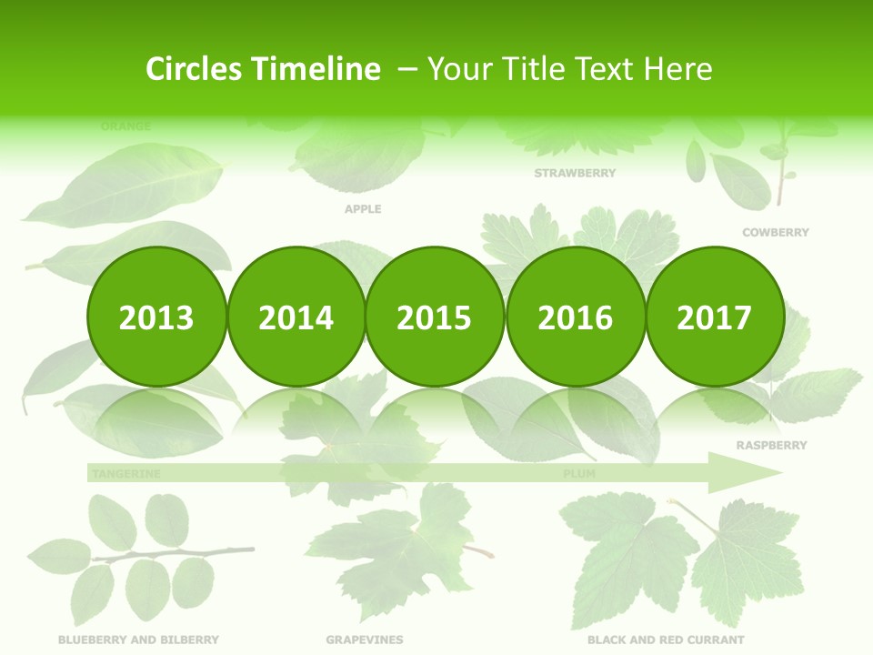 Raspberry Currant Redcurrant PowerPoint Template