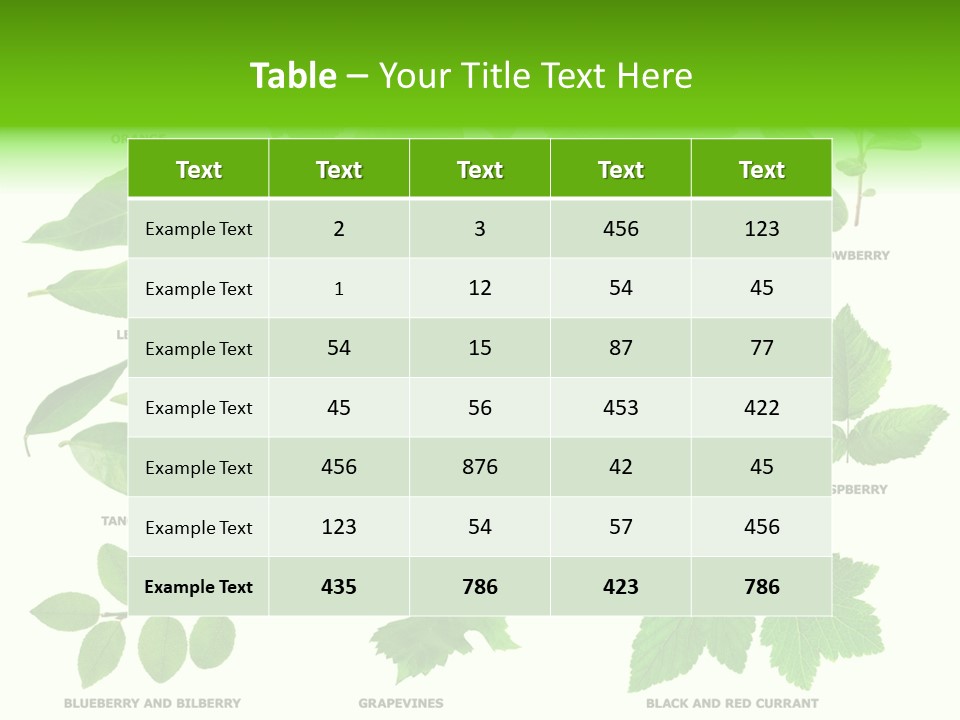 Raspberry Currant Redcurrant PowerPoint Template