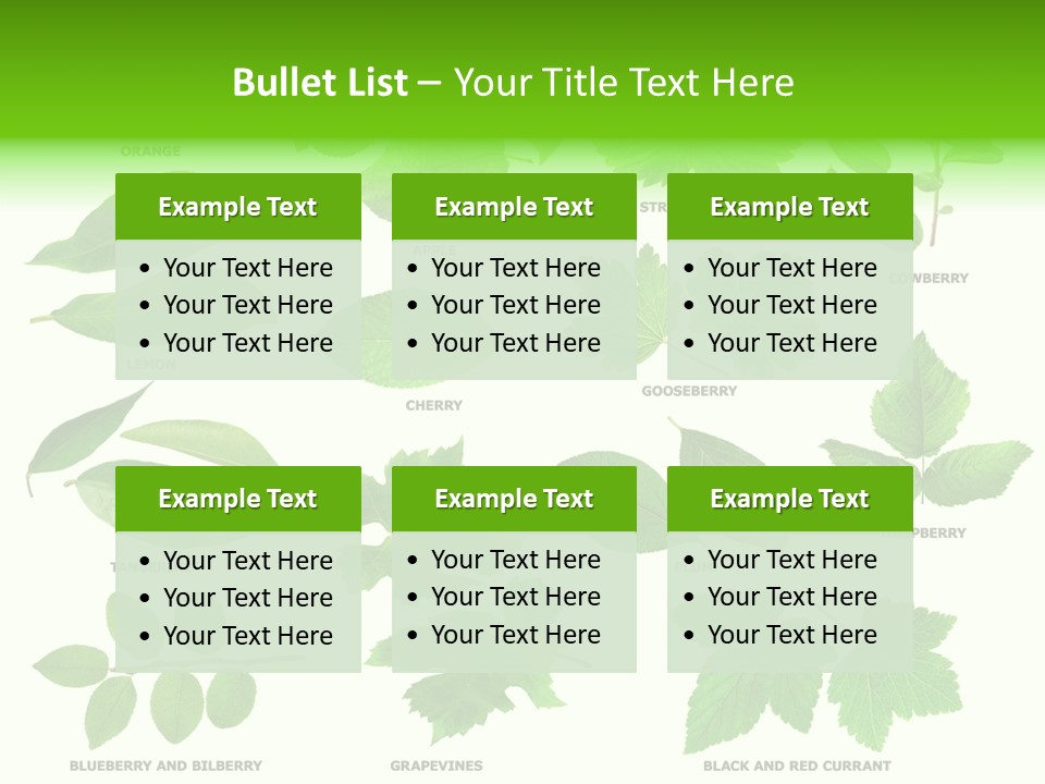 Raspberry Currant Redcurrant PowerPoint Template