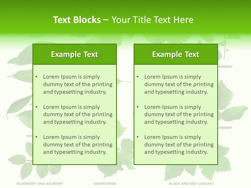 Raspberry Currant Redcurrant PowerPoint Template