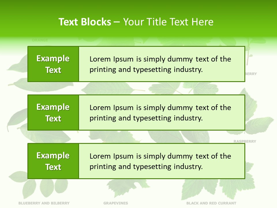 Raspberry Currant Redcurrant PowerPoint Template