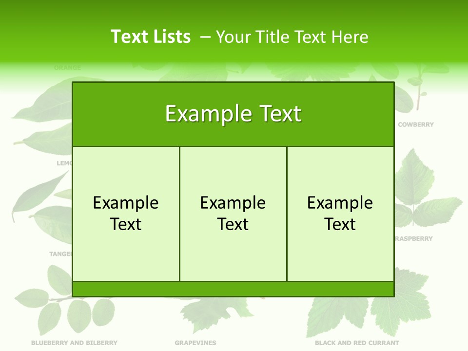 Raspberry Currant Redcurrant PowerPoint Template