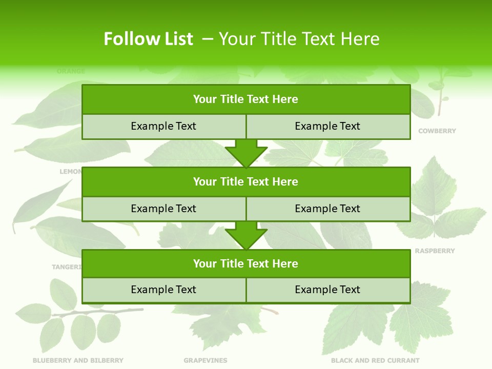 Raspberry Currant Redcurrant PowerPoint Template