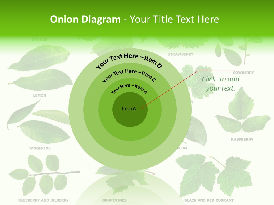 Raspberry Currant Redcurrant PowerPoint Template